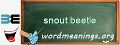 WordMeaning blackboard for snout beetle